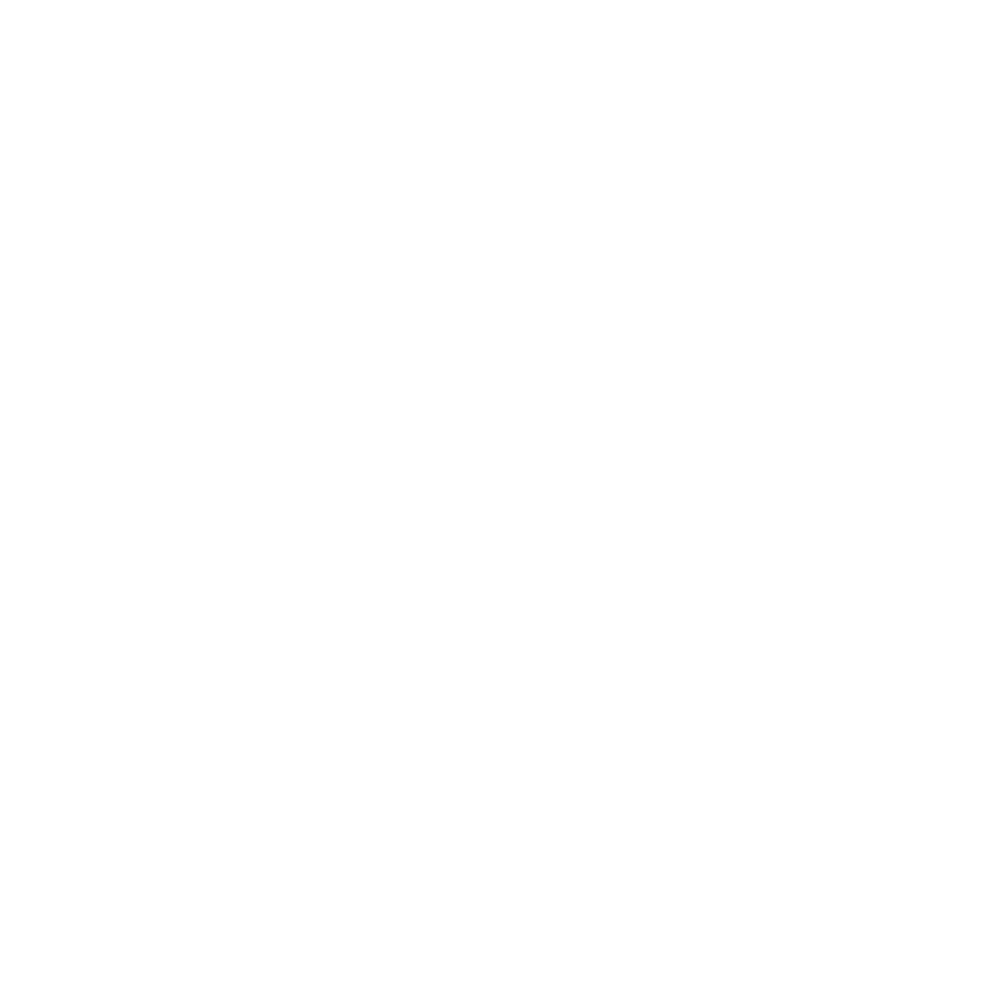 Logo AO